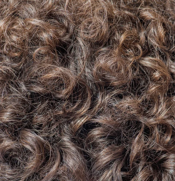 Långa bruna vågiga lockiga hår som bakgrund — Stockfoto