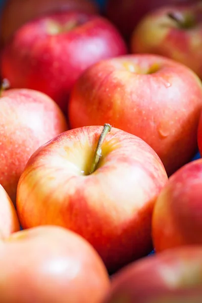 Много яблок — стоковое фото