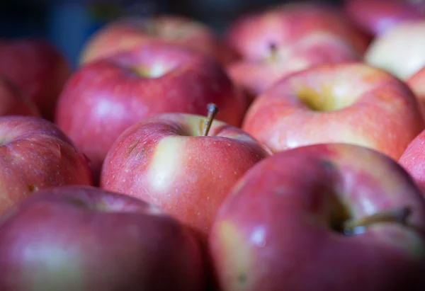 Muitas maçãs — Fotografia de Stock