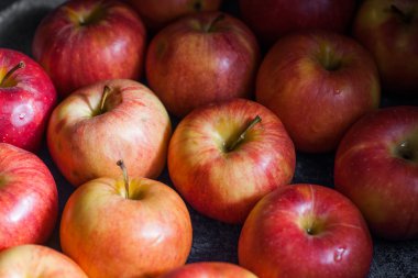 birçok elma