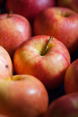 birçok elma