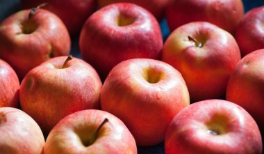 birçok elma