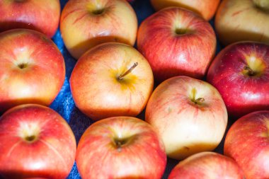 Olgun kırmızı elmalar