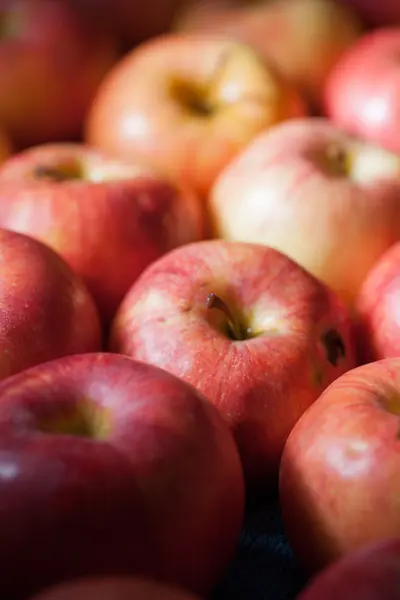 Viele Äpfel — Stockfoto