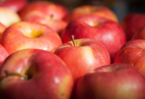 Viele Äpfel — Stockfoto