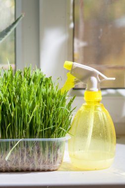 çim ve püskürtücü kapalı