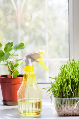 çim ve püskürtücü kapalı