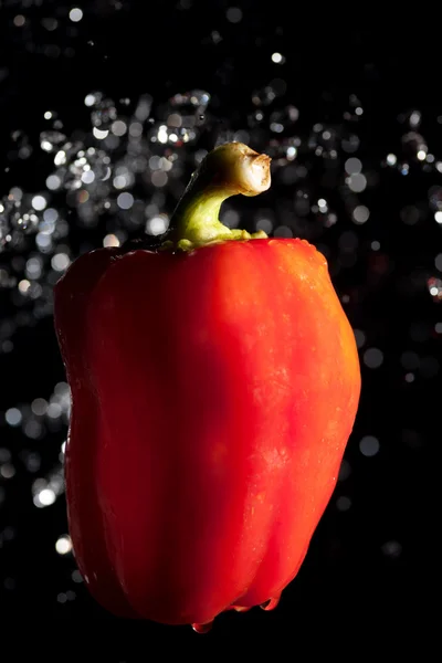 Pimienta roja y gotas de agua en negro —  Fotos de Stock