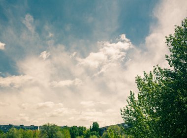 gökyüzü ve ağaçlar