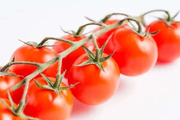 Tomato branch on white — Stock Photo, Image