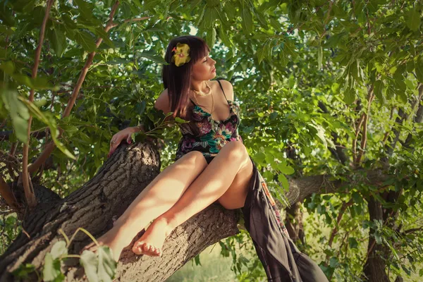 Chica sensual sentado en un árbol al aire libre —  Fotos de Stock