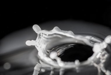 siyah arka plan üzerine izole süt sıçramalarına daire