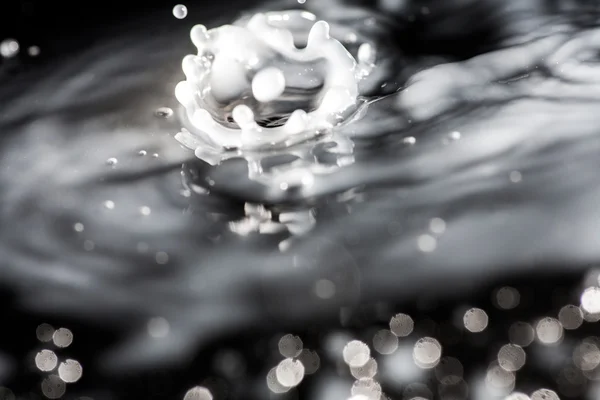 Een macro shot van een botsing van de daling van de melk. splash van melk met bokeh — Stockfoto