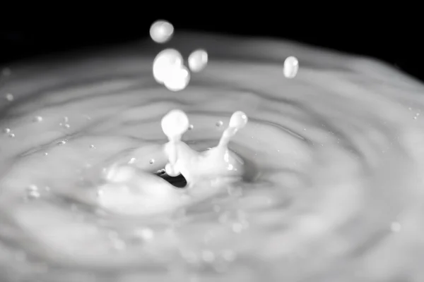 Молоко движется от падения капли. — стоковое фото