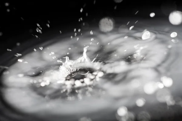 黒地に白い液体のしぶき — ストック写真