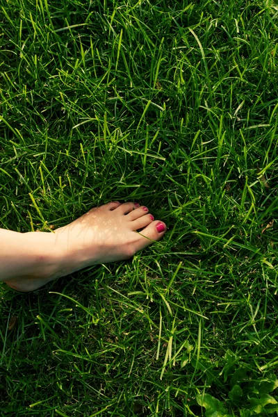 緑の草の上に裸足で — ストック写真