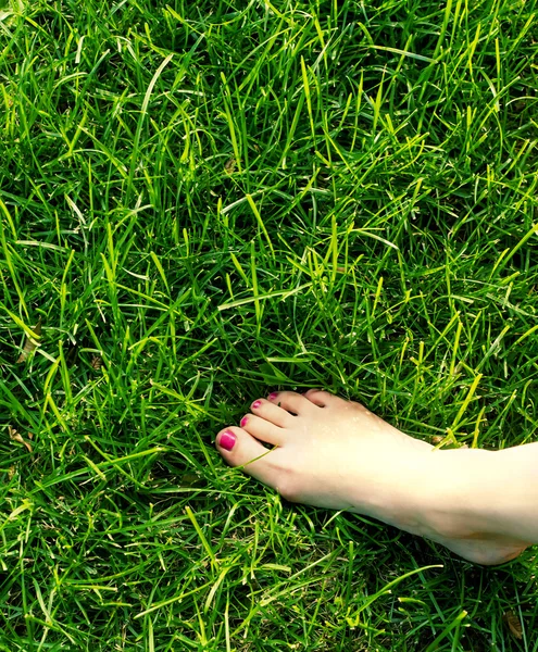緑の草の上に裸足で — ストック写真