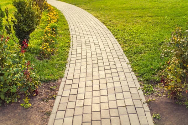 Stone Path Garden Copyspace — Stock Photo, Image