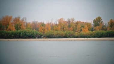 Astrakhan yakınlarındaki Volga Nehri 'nde. Orman ve güzel barışçıl yansımalar