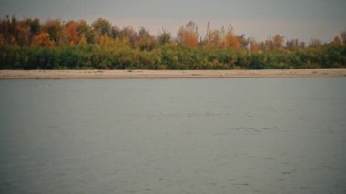 Astrakhan yakınlarındaki Volga Nehri 'nde. Sonbahar parkında güzel bir gün. Güz ortamına ait güçlü renkler.