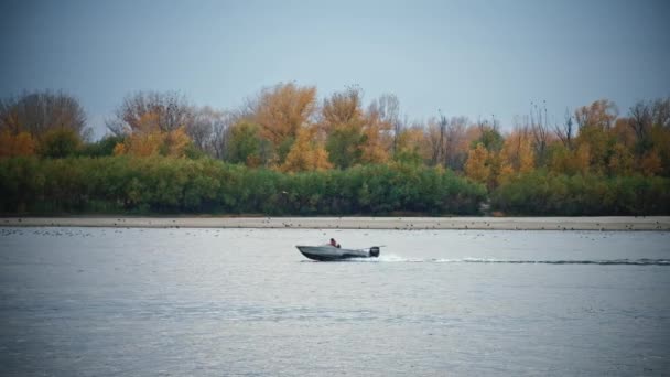 晴れた日に青いヴォルガ川でスピードボートセーリング。川沿いを背景にした高速漁船 — ストック動画