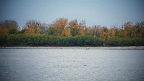 Řeka Volha blízko Astrakhan v podzimním období — Stock video