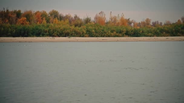Rzeka Wołga w pobliżu Astrachana w okresie jesiennym. Piękny dzień w jesiennym parku z silnymi kolorami jesiennego środowiska — Wideo stockowe