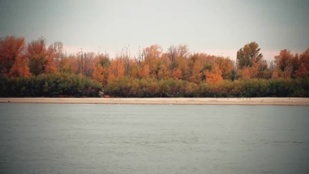 Волга біля Астрахані в осінній час. З барвистим осіннім листям на деревах — стокове відео