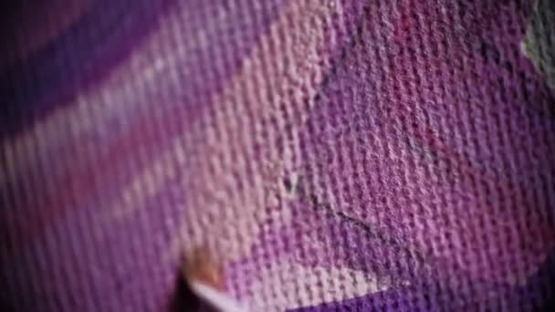 Paintbrush with oil paint on classic canvas macro shot. Paint brush applies a violet line to the canvas — Stock Video