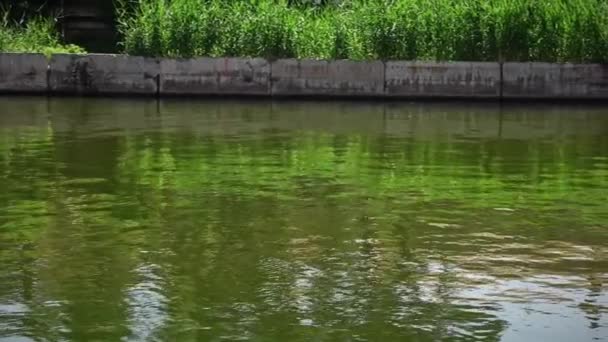 Mesterséges tó és nád, táj viharvert beton környező fal és zöld tükröződések a vízben — Stock videók