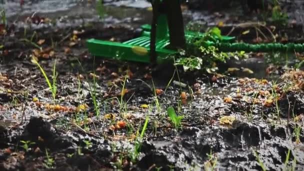 Rasensprenger. Bewässerungsregner im Hinterhof. Bewegliche Sprinkleranlage zur Bewässerung des Rasens — Stockvideo