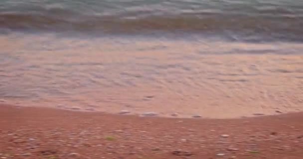 Calm waves roll on empty sandy beach pink and orange sky reflectiobns at sunset time, pan shot. — Stock Video