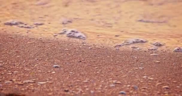 Ruhiger Ozean während des tropischen Sonnenaufgangs. Welle auf dem ruhigen Meer am Strand während des wunderschönen und farbenfrohen Sommersonnenuntergangs — Stockvideo