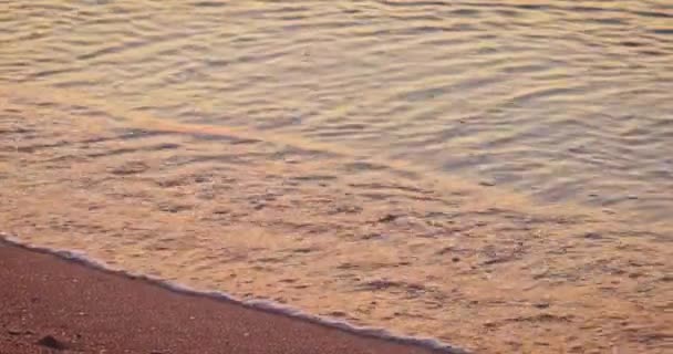 Meeresstille Wellen rollen bei Sonnenuntergang über den leeren Sandstrand unter dem schönen rosafarbenen Himmel — Stockvideo