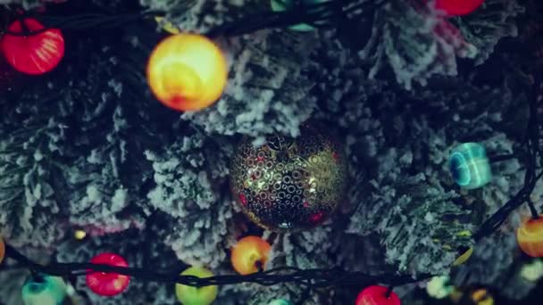 Παγωμένα κλαδιά έλατου με χριστουγεννιάτικα φωτάκια γιρλάντας που λάμπουν στο σκοτάδι της νύχτας. Χριστουγεννιάτικο φόντο βίντεο διακοπών — Αρχείο Βίντεο