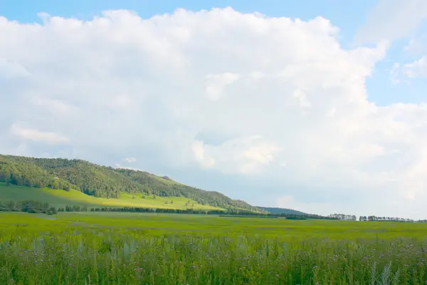 Linda paisagem de verão — Fotografia de Stock