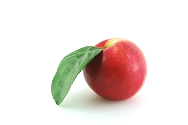 Moget rött äpple — Stockfoto