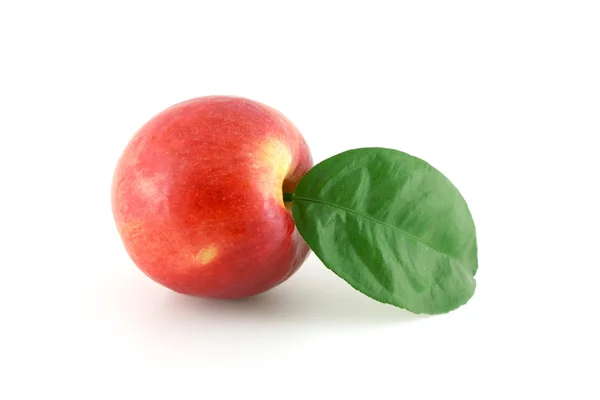 Zralé červené jablko s zelený list — Stock fotografie