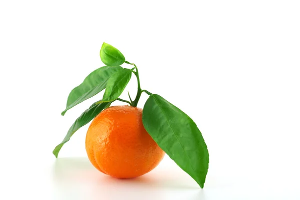Ripe fresh mandarine — Stock Photo, Image