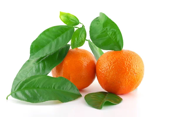 Ripe fresh mandarines — Stock Photo, Image