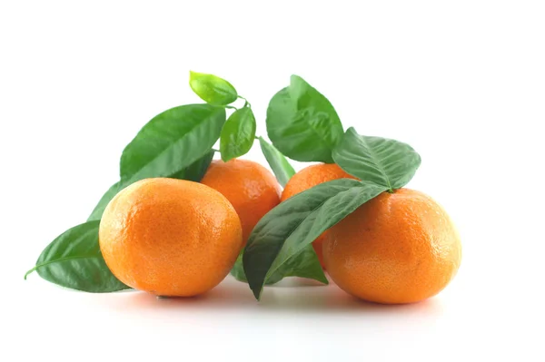 Mandarinas frescas maduras con hojas verdes —  Fotos de Stock
