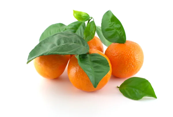 Ripe fresh mandarines with green leaves over white — Stock Photo, Image