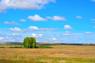 Güzel yaz manzarası