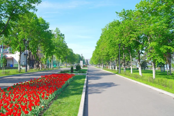 Quay içinde şehir samara volga Nehri üzerinde göster — Stok fotoğraf