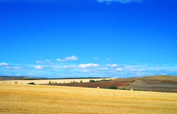 Schöne ländliche Landschaft — Stockfoto