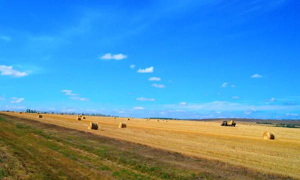 Beautiful rural landscape, harvesting — Stock Photo, Image