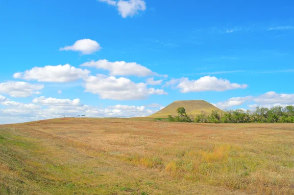 Schöne Sommerlandschaft — Stockfoto