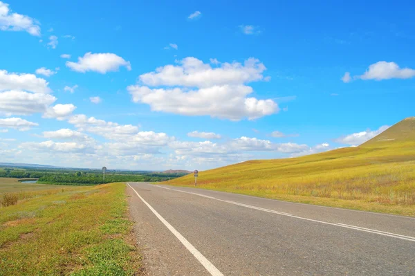 Prachtig zomers landschap — Stockfoto