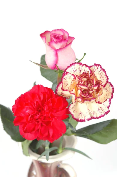 Blossom flowers in vase — Stock Photo, Image