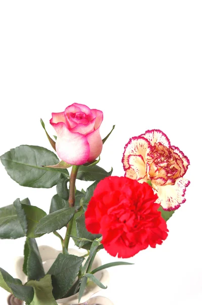 Blossom flowers in vase — Stock Photo, Image